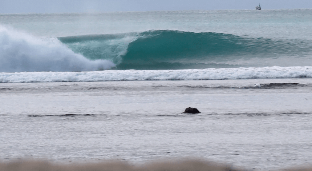 Learn To Surf In Bali The Best Spots For Beginners